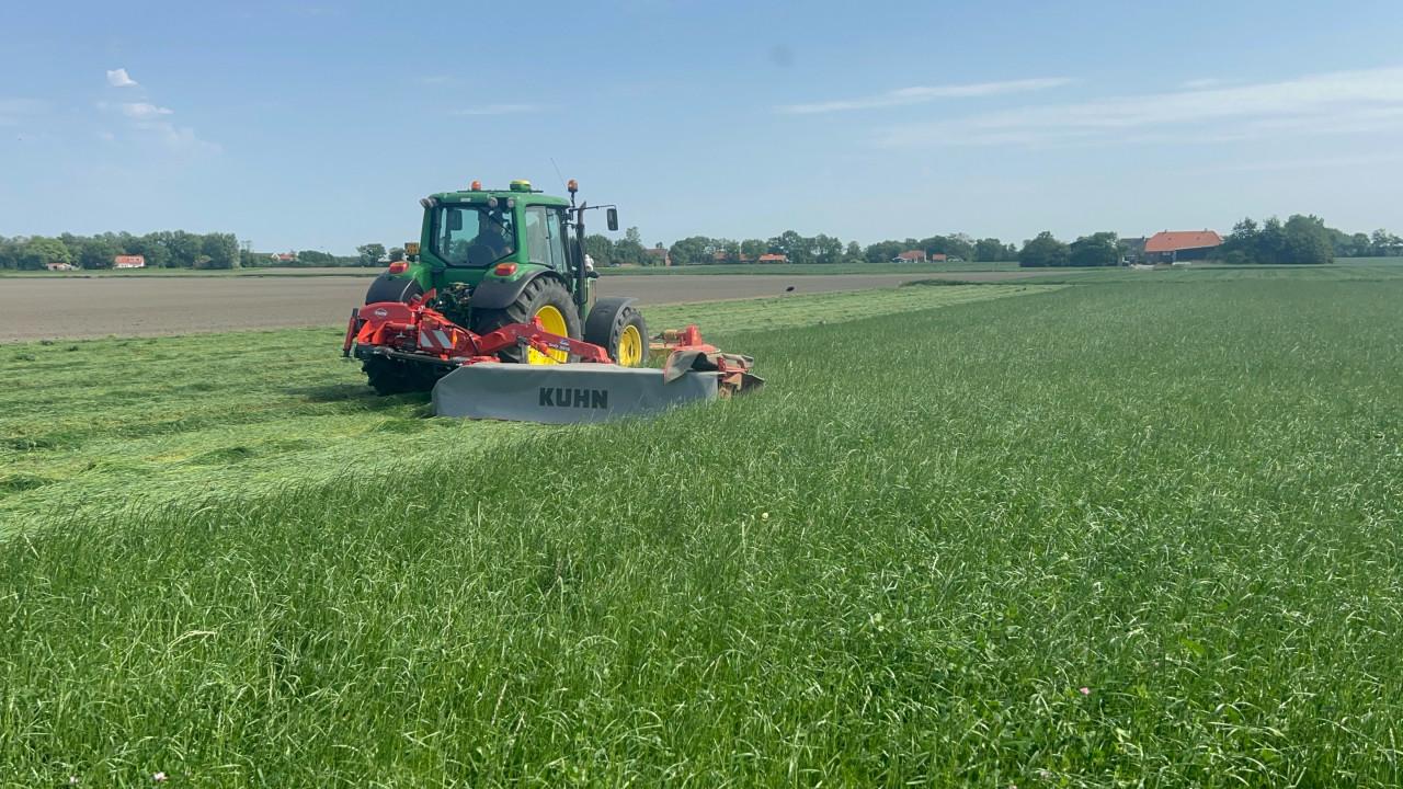 Te koop gevraagd, gras op stam en tarwe stro van land.