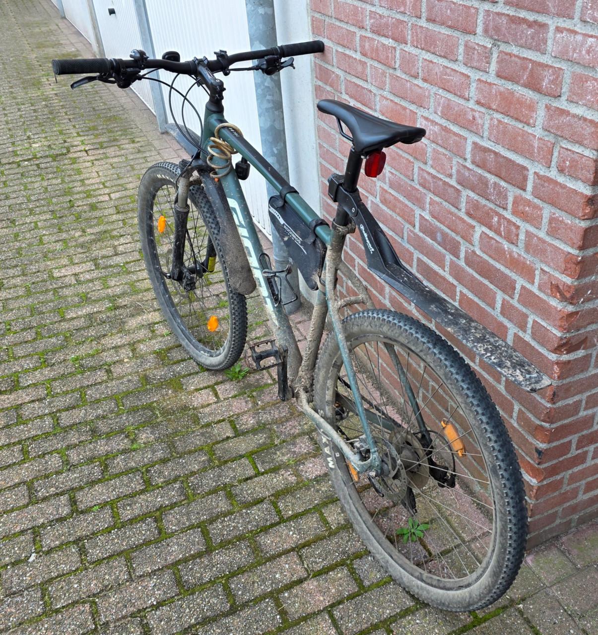 Mountainbike Giant Talon 3 29er 2021, maat XXL