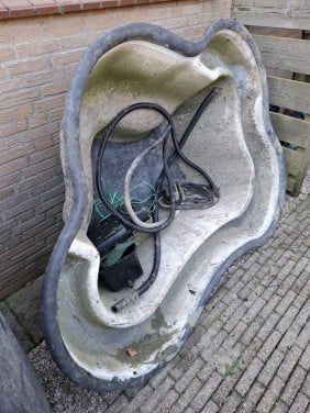 Vijver