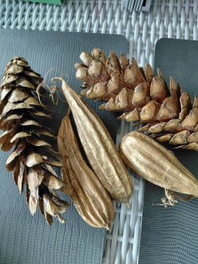 Decoratie