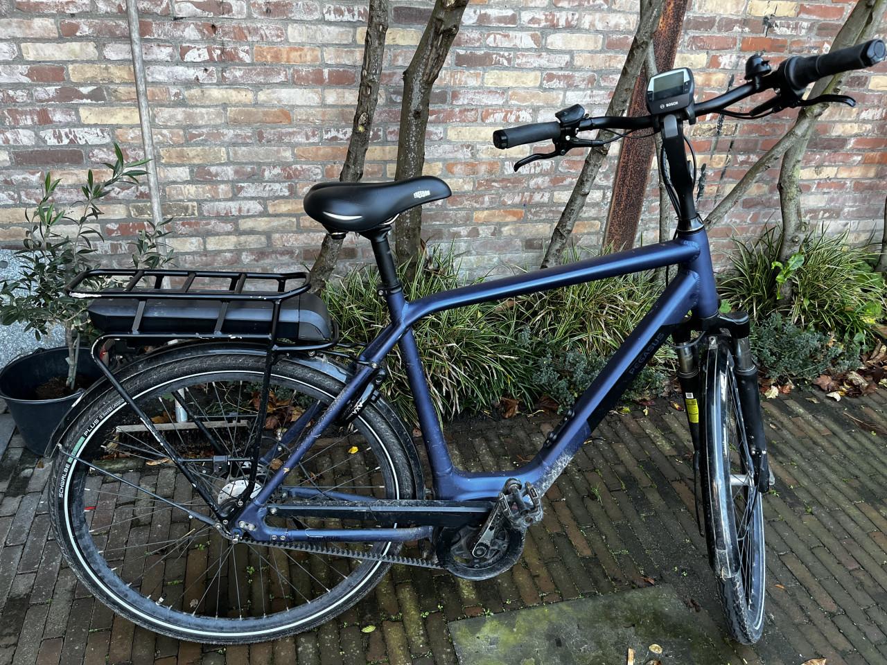 Pegasus siena E7F plus belt (disc) 60, steel blue matt