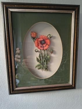 Klaproos 3D