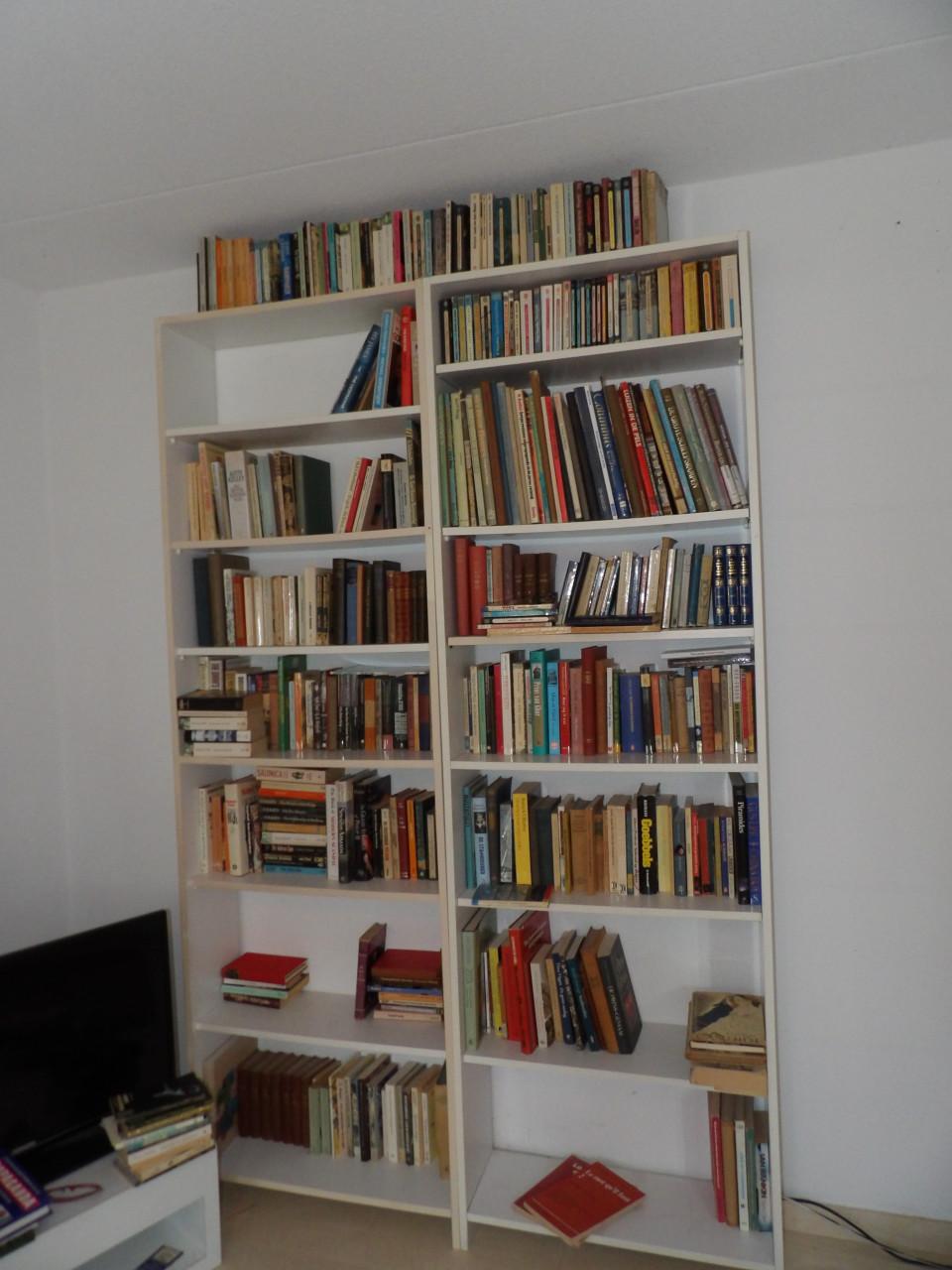 Partij (antieke) boeken