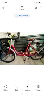 Moeder fiets