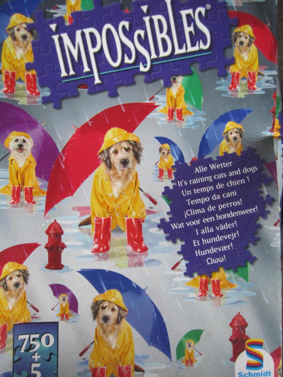Impossibles Puzzel - Wat voor een hondenweer - 750 + 5 stukjes