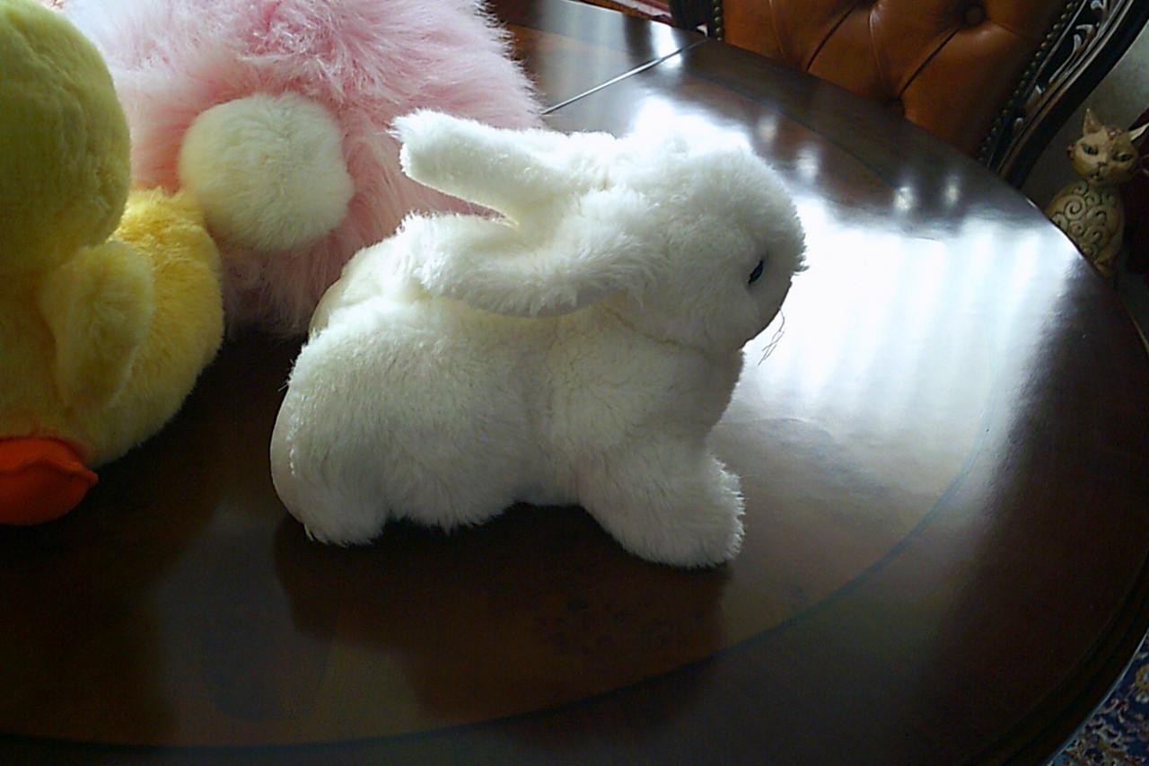 VIER nieuwe PAASknuffels.