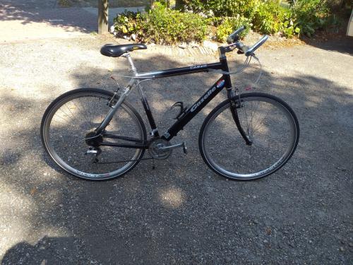 """"GAZELLE GRAVELBIKE PLAYA oversized profesional in prima staat""""