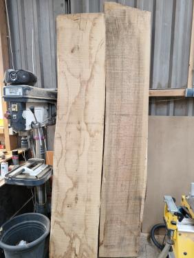 Eiken schaaldelen droog