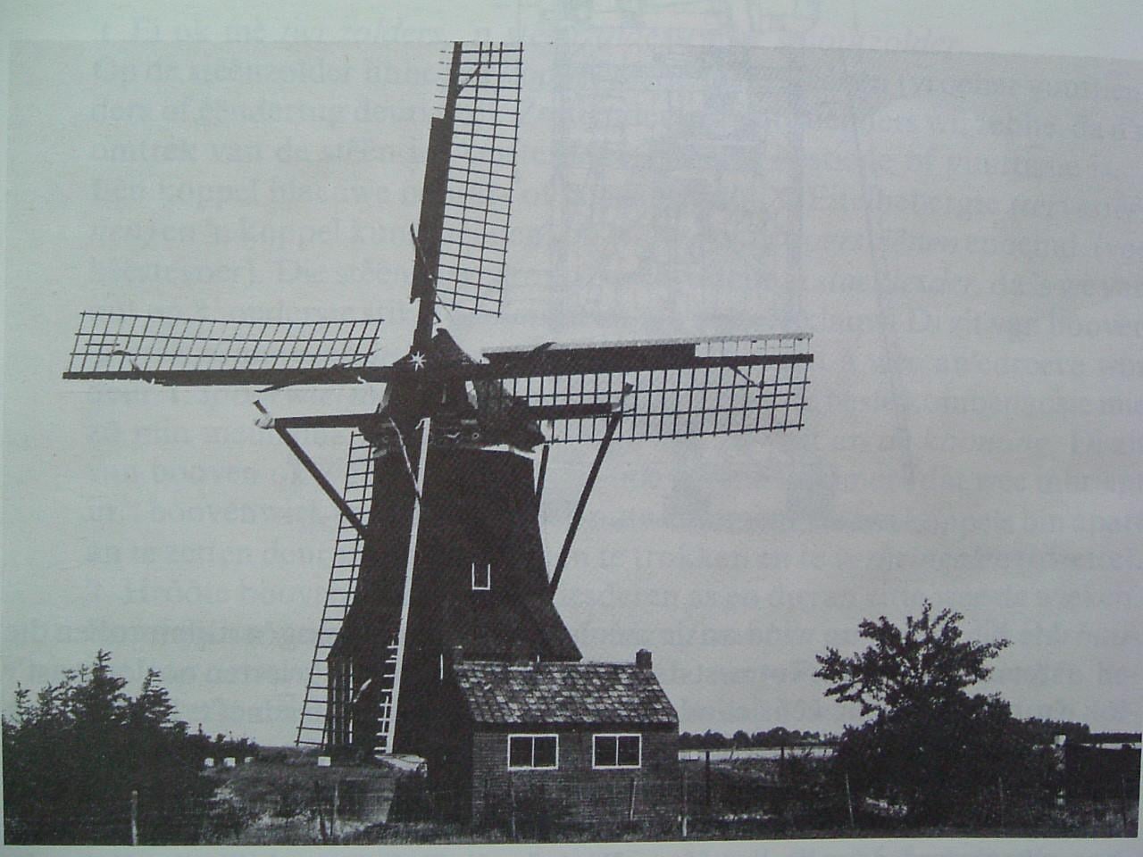 Dialect op Zuid-Beveland.