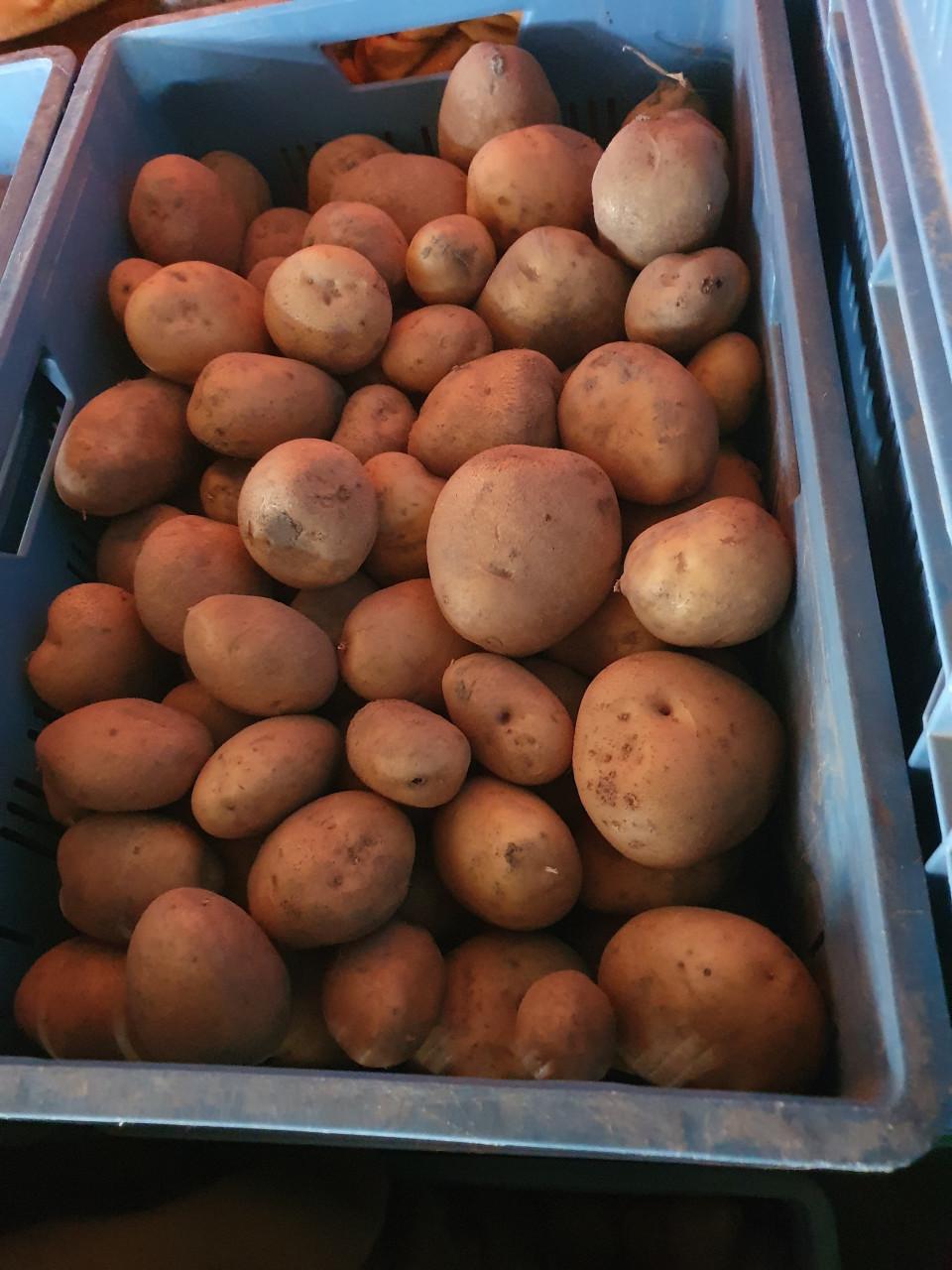 Bildtstar aardappelen