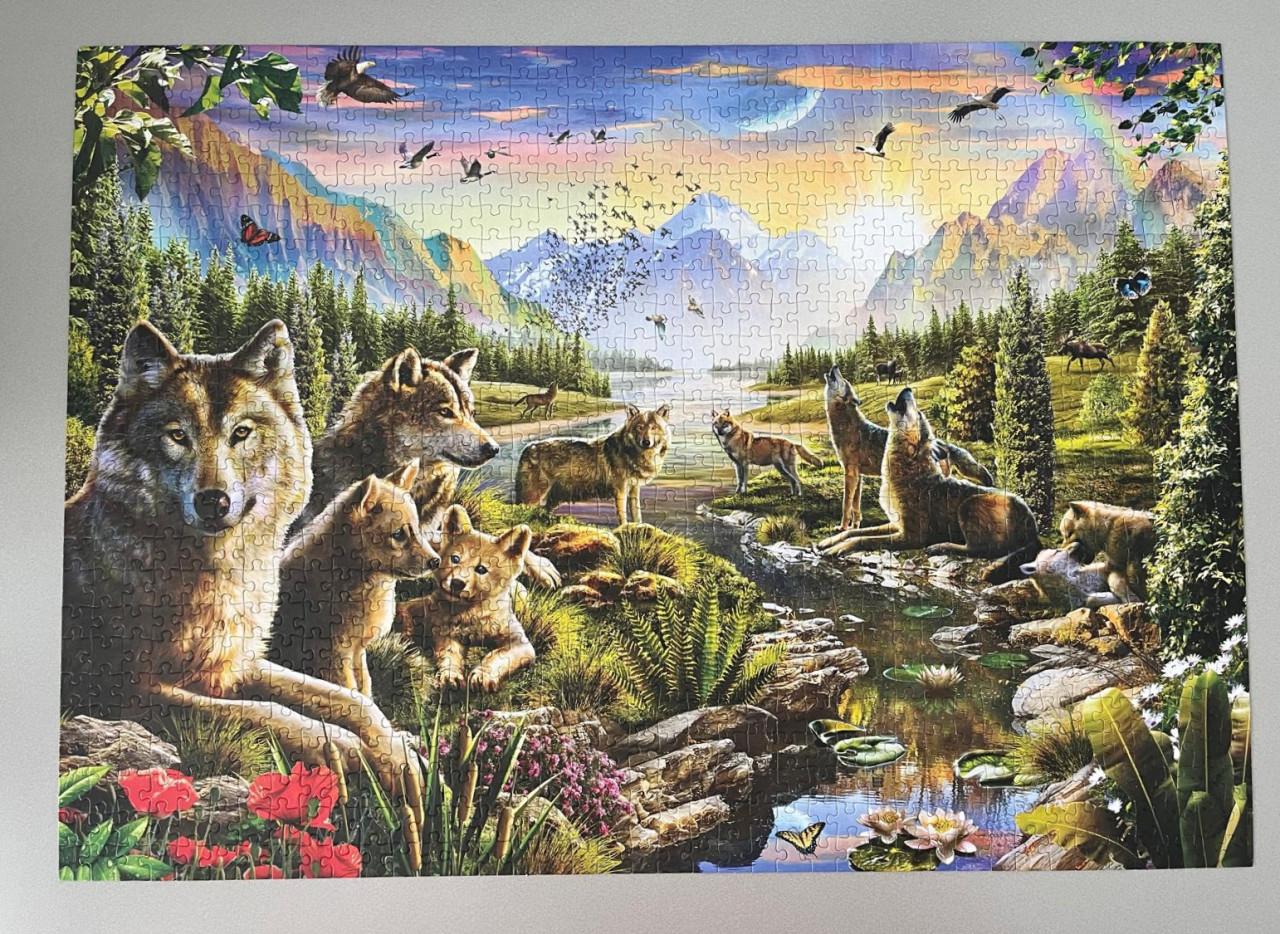 Puzzel Summer Wolf Family