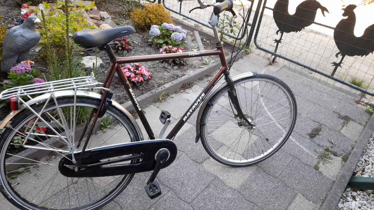 Diversen Fietsen