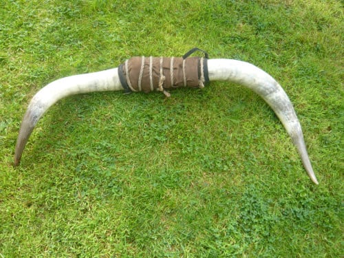 Koeienhoorn , bullshoorn
