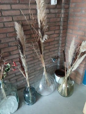 Vazen met droogbloemen