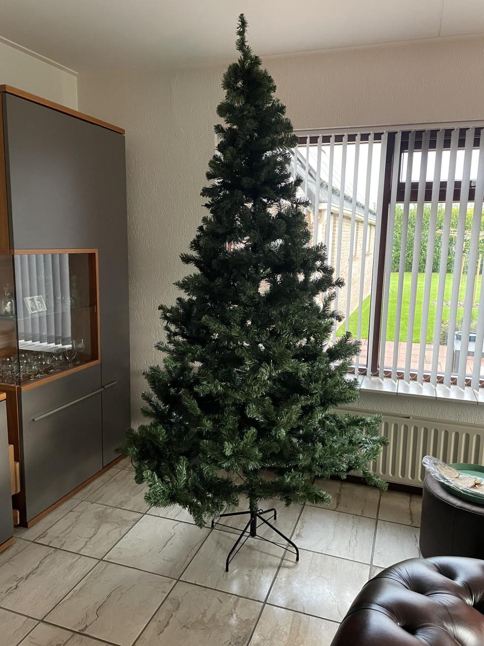 Kerstboom