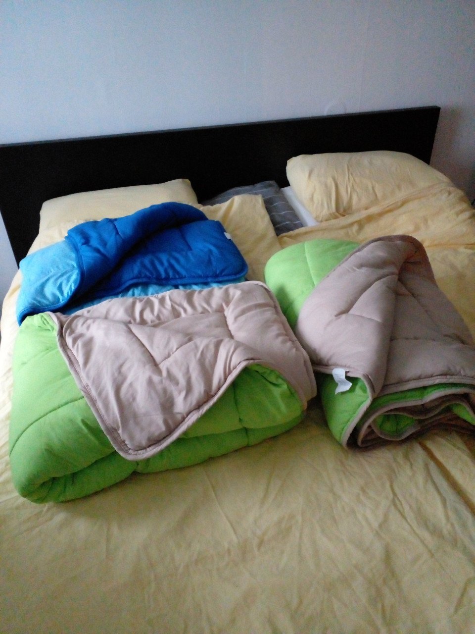 3 x 2in1 wasbaar dekbed van Zelesta 140cm x 200cm