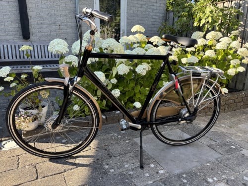 Batavus Cantate herenfiets - Groot frame