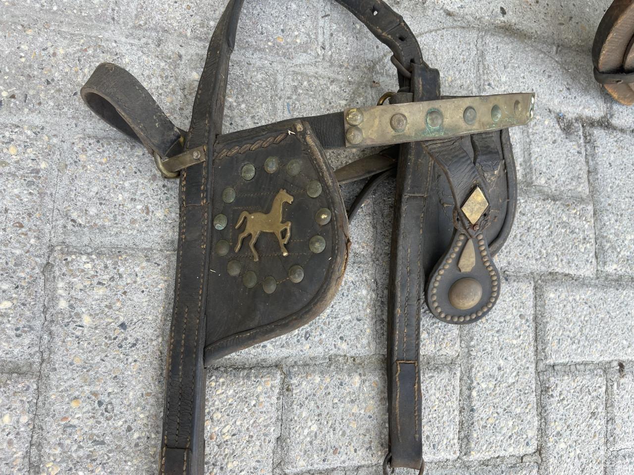 Paardengareel met hoofdstel met bit