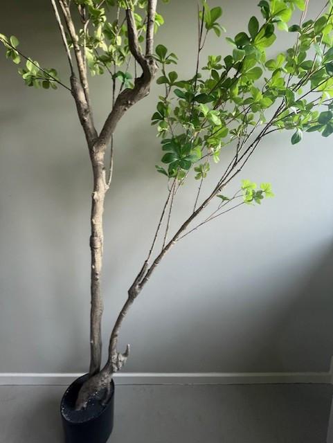 Kunstplant 'Ekianthus' van Kave Home