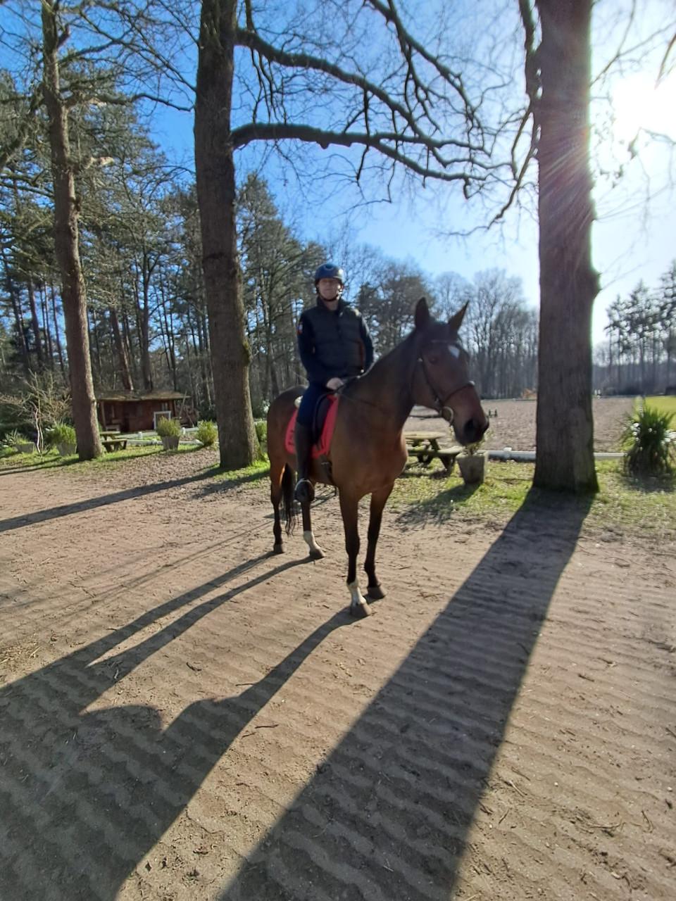 Verzorg paard gezocht stalling gevraagd