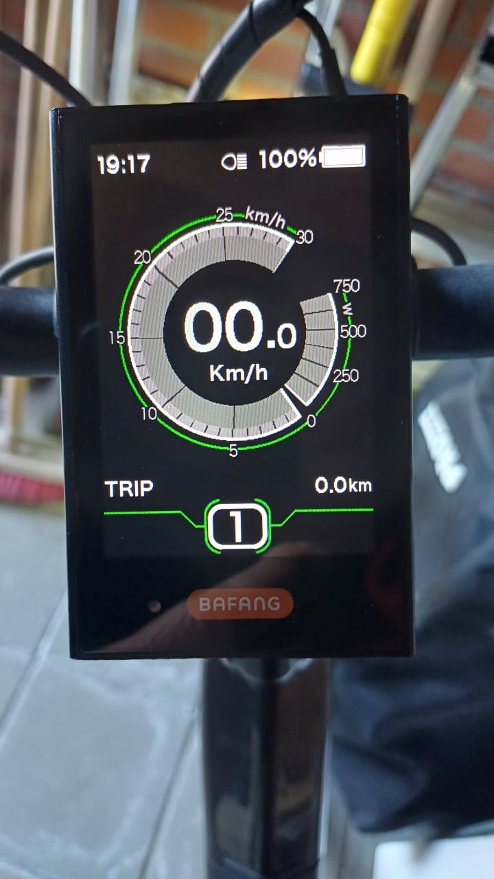 VanDijck Gaia e-bike met belt drive