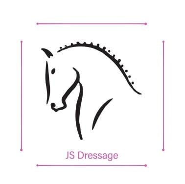 Dressuurles aangeboden