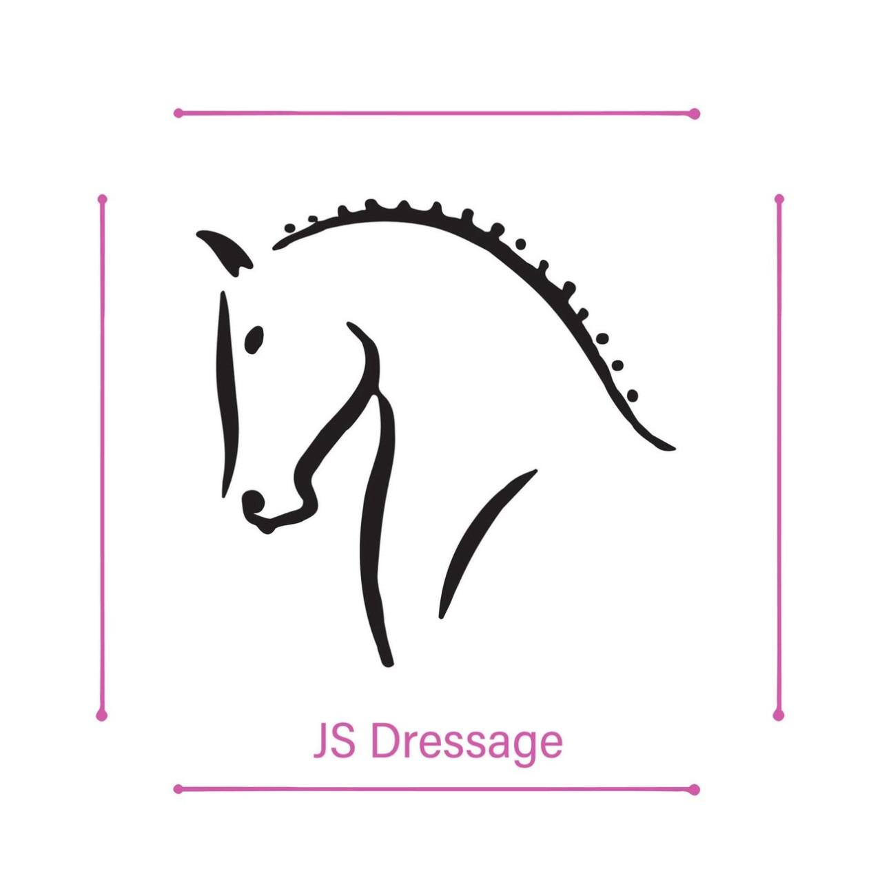 Dressuurles aangeboden