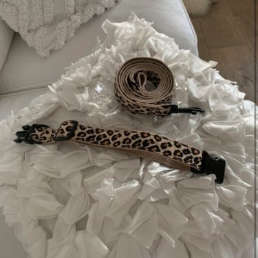 Honden halsband met riem