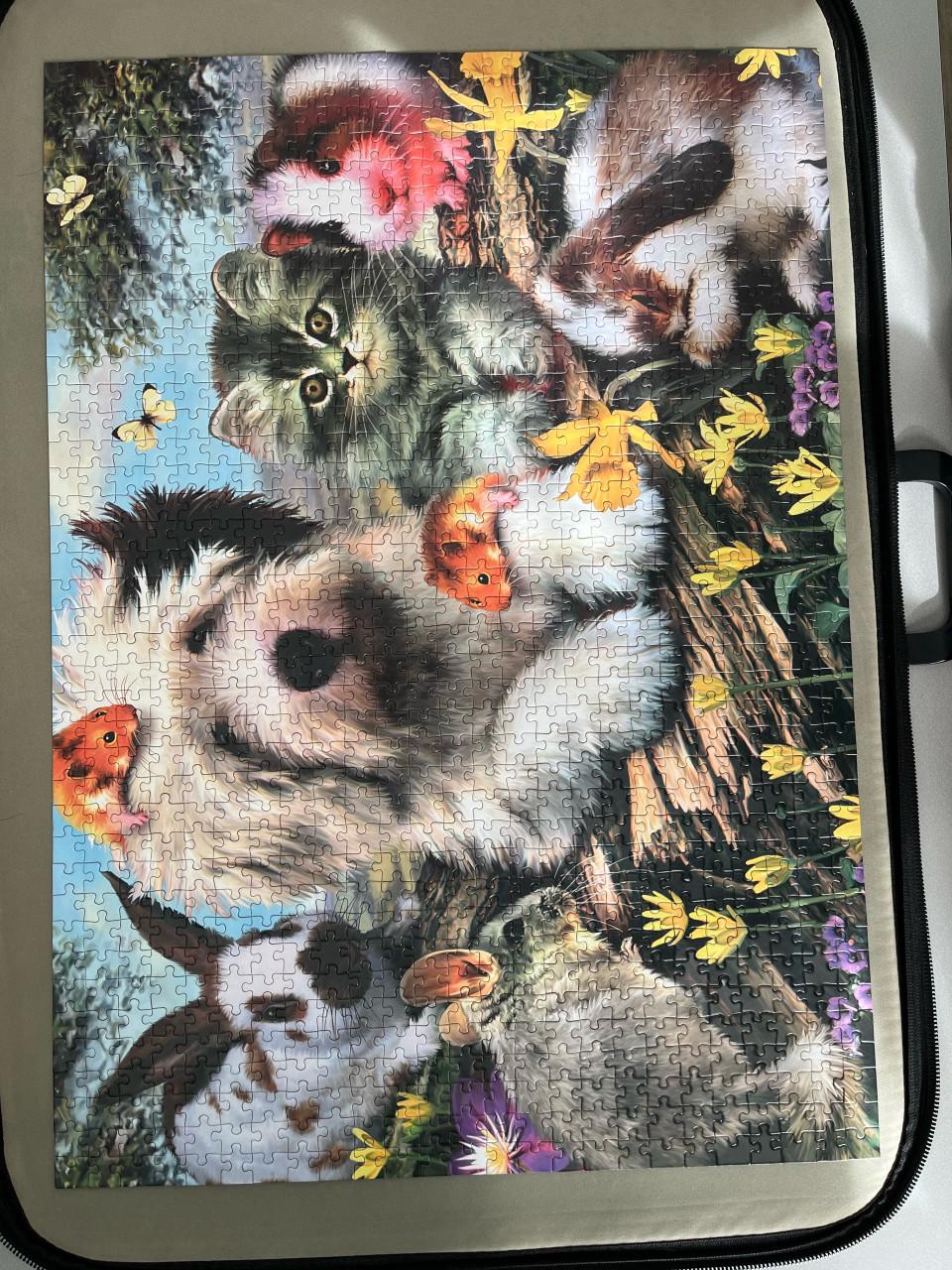 Puzzels 1000 stukjes