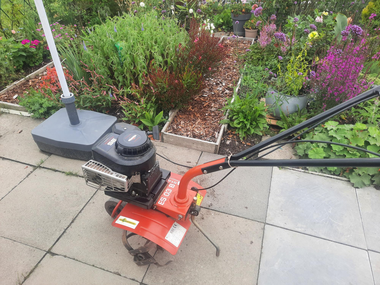 Tuinfrees