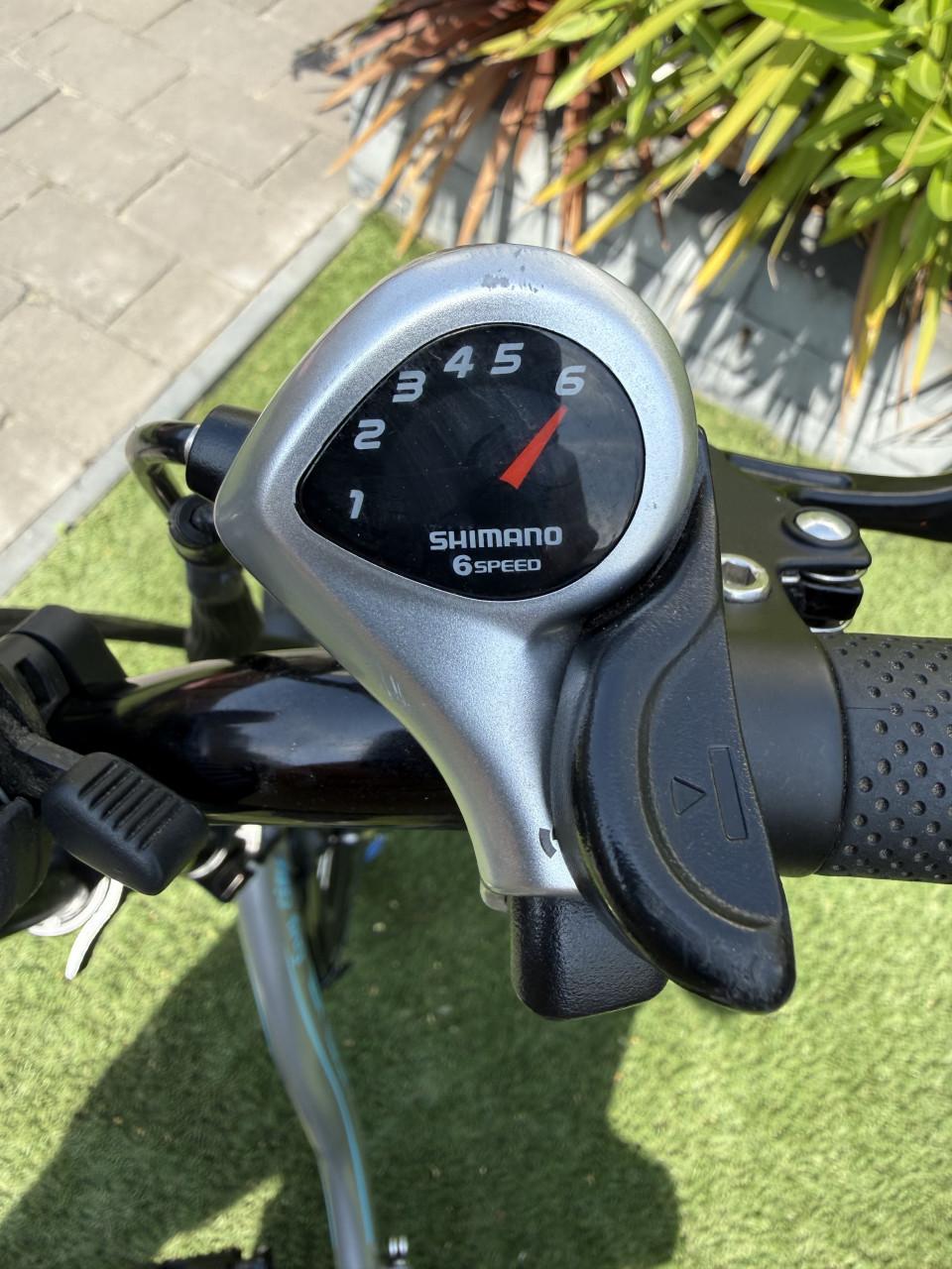 Vogue Easy city E bike vouwfiets slechts 246 km
