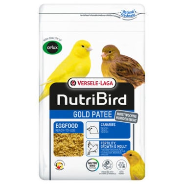 Gold Patee Kanaries 1 kg