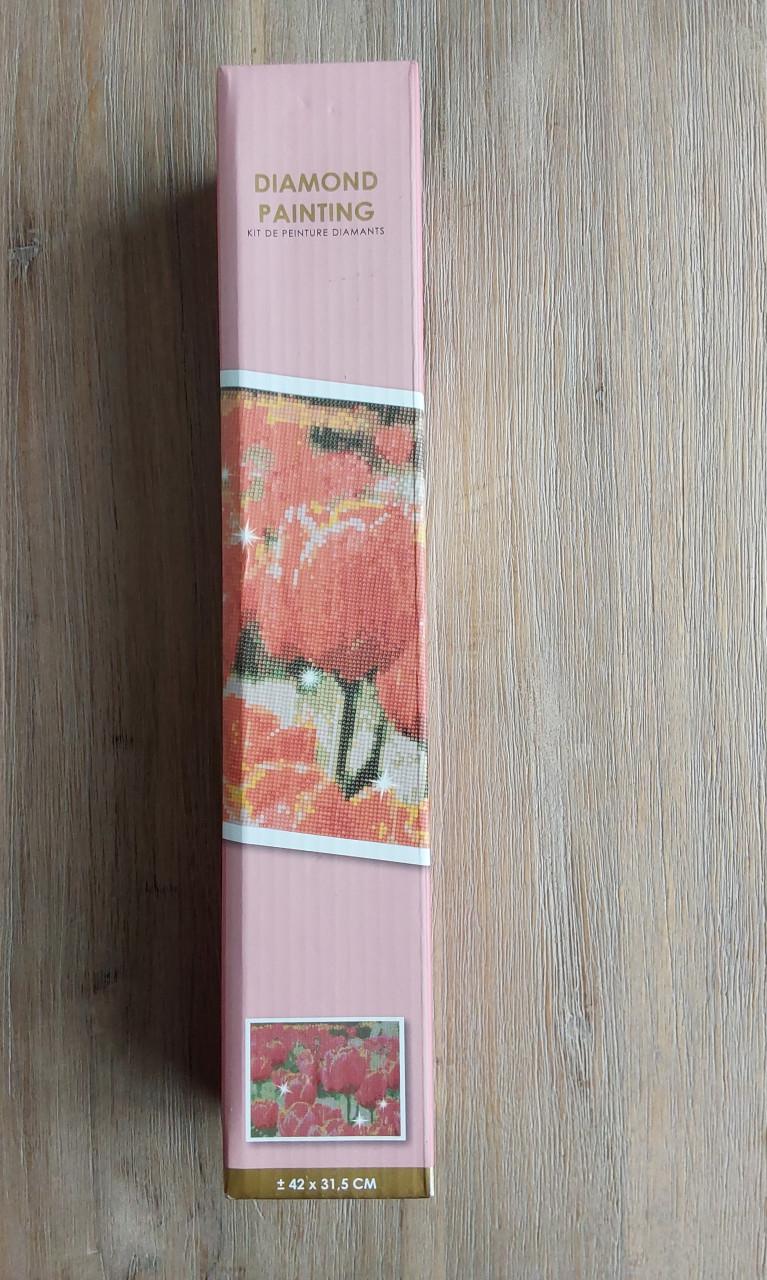 Diamond painting set