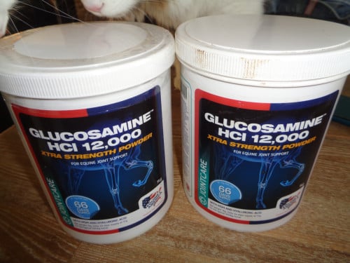 Glucosamine HCI 12,000