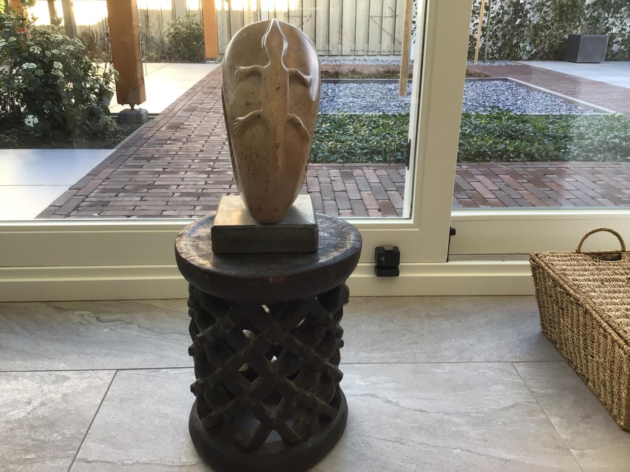 Afrikaanse Sculptuur van speksteen