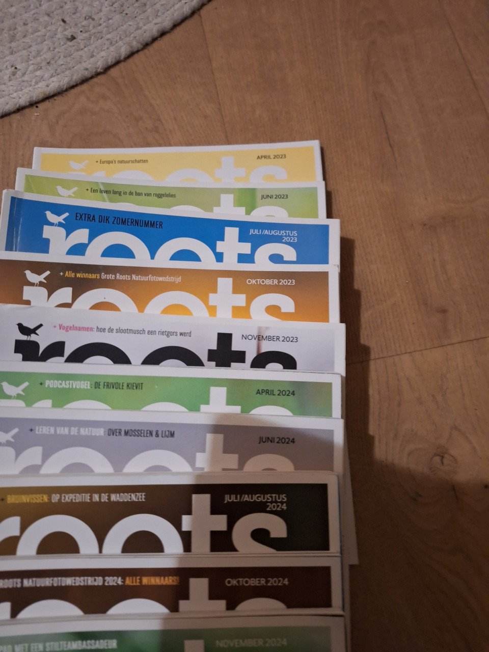 12 x Roots 2024-2023