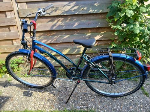 Gazelle 26 inch
