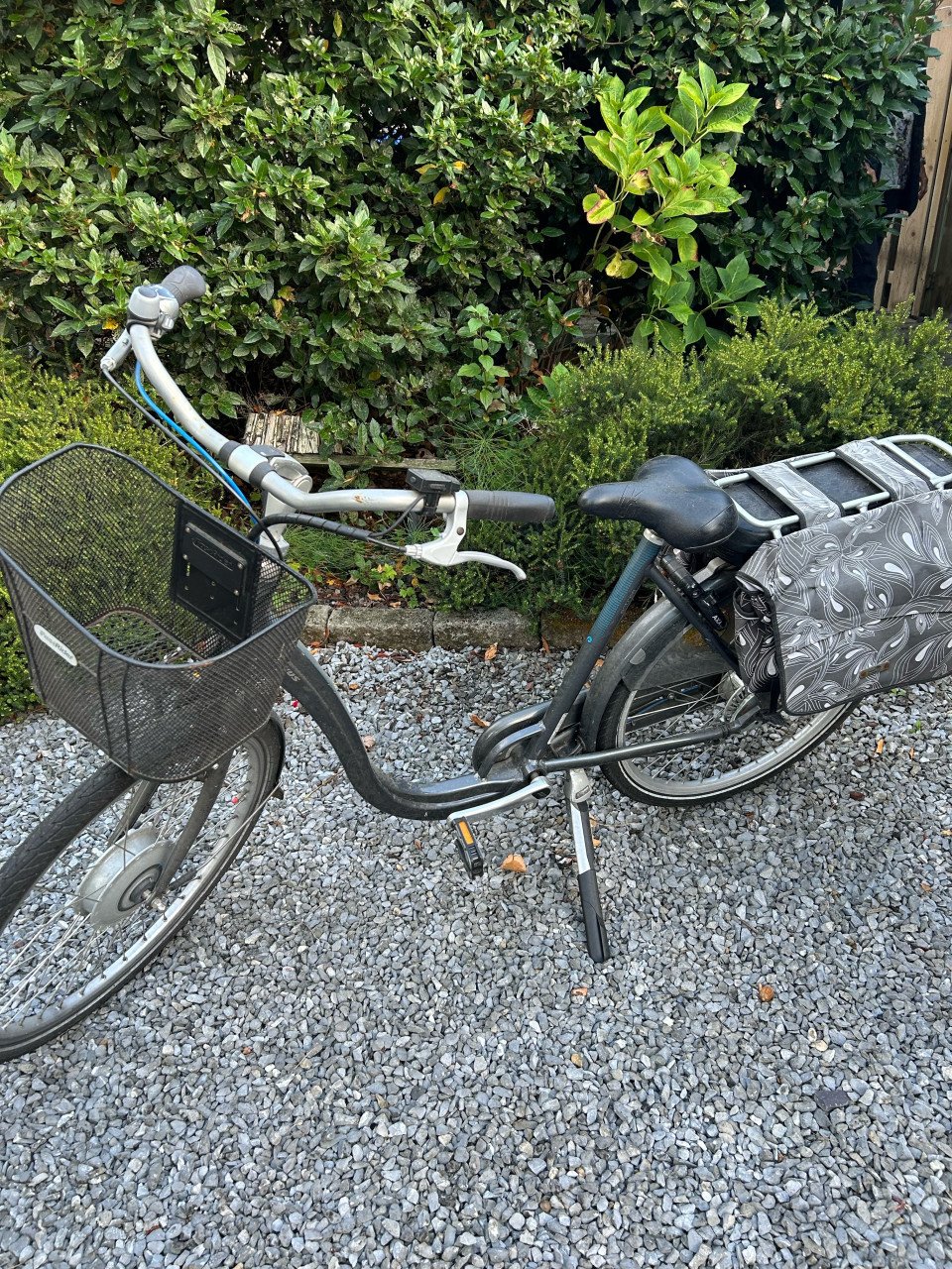 Elektrisch fiets lage instap