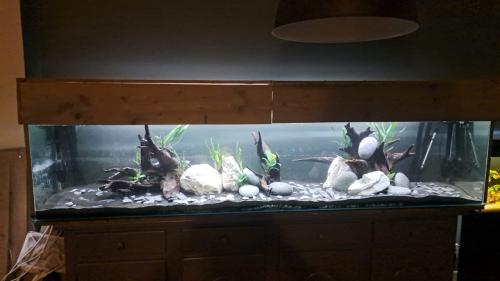 Aquarium (250cm) met onderkast en Fluval FX4 pomp