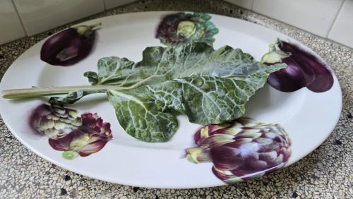 Decoratieve schaal voor diverse groentes 💚