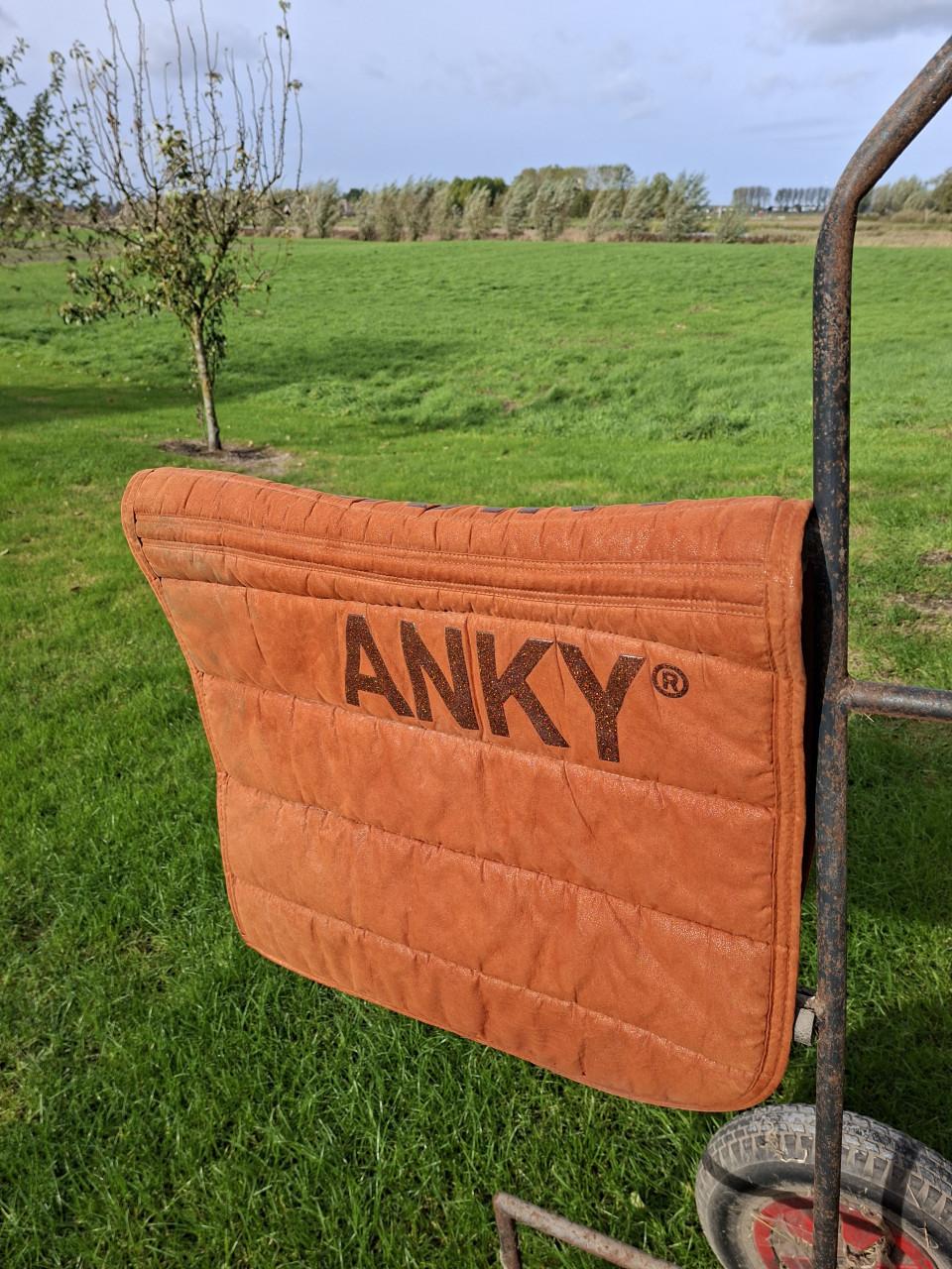 Dressuurdekjes anky