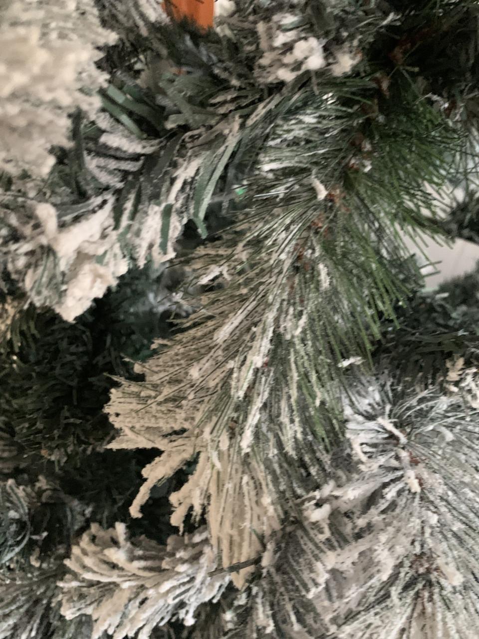 Kerstboom met sneeuw . Intratuin