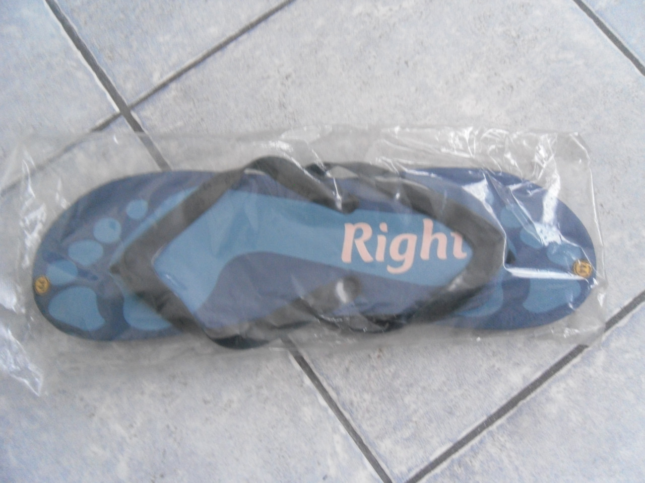 SCHOENEN ENZ