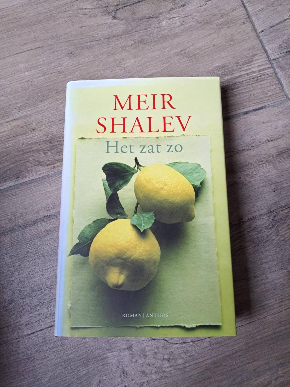 Roman Het zat zo van Meir Shalev