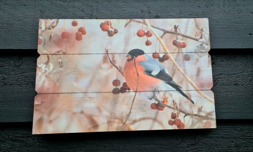 Herfst/winter afbeelding op hout; vogeltje met rode besjes