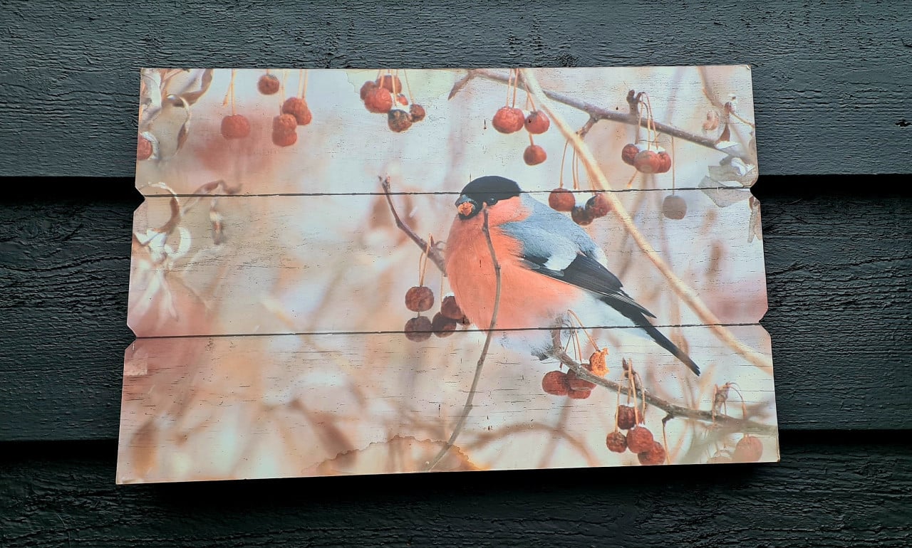 Herfst/winter afbeelding op hout; vogeltje met rode besjes