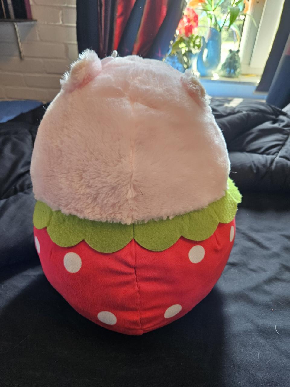 Deken en knuffel