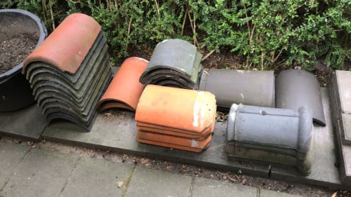 Nokvorsten (diverse types)