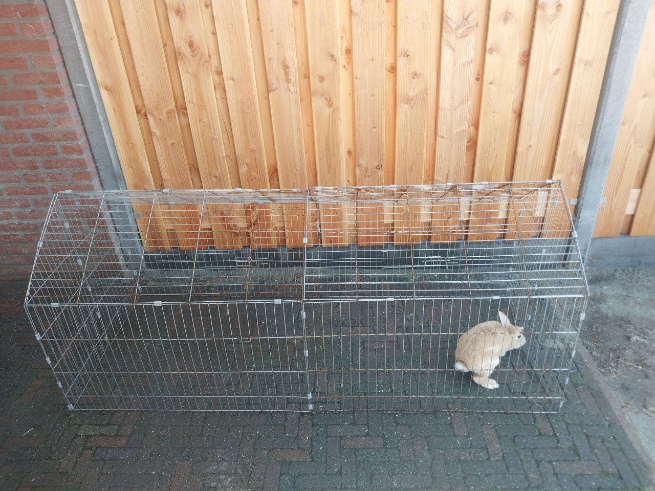 Konijnenren