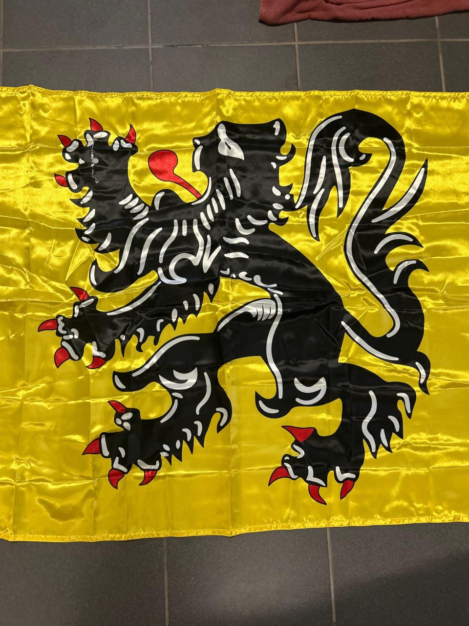 Vlag van vlaanderen